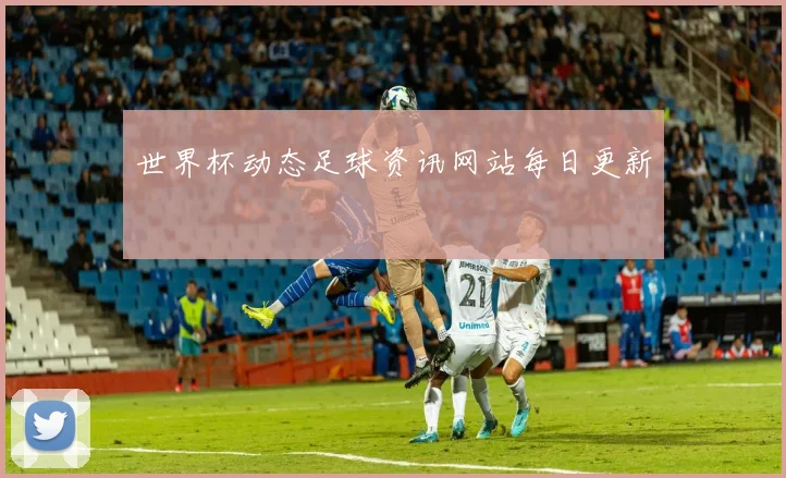 世界杯动态足球资讯网站每日更新